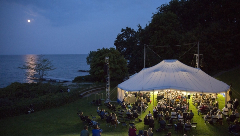 Louisiana Literature DL