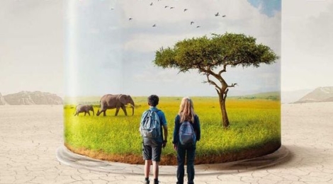 Affiche Animal Cyril Dion
