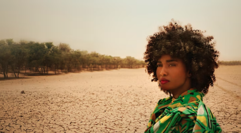 The Great Green Wall