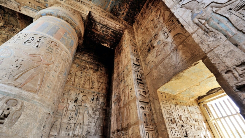 Yasmine Seale Homeland in the World