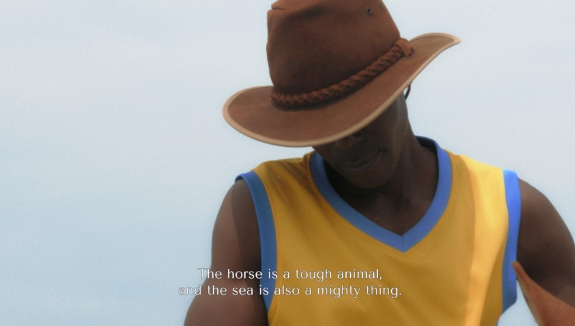 Ashadu cowboy closeup shore cowboy still