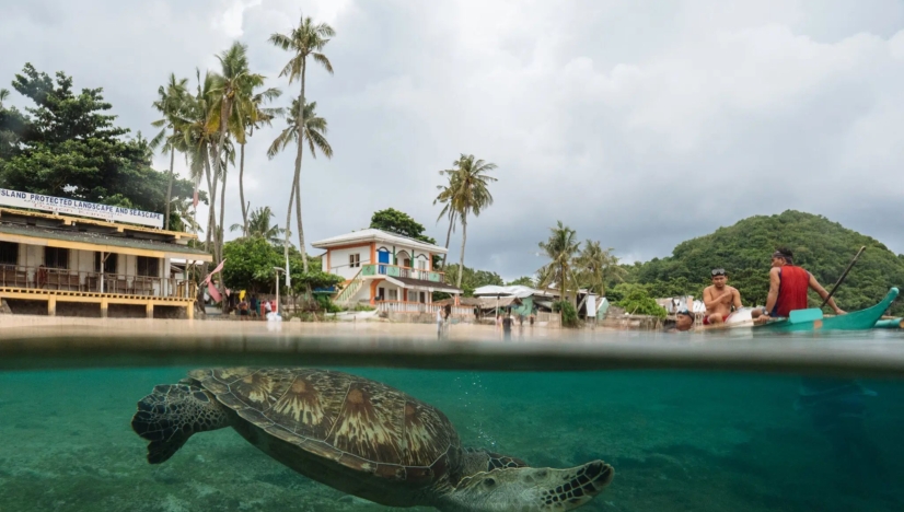 Sea Turtle Sanctuary Hannah Reyes Morales