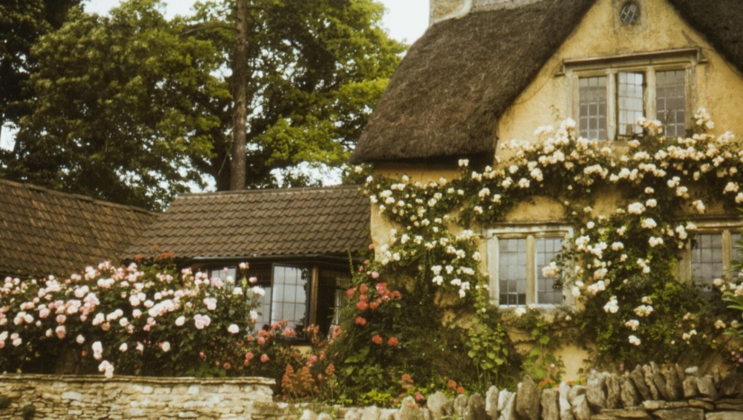 The Shape of Things to Come Deborah Levy