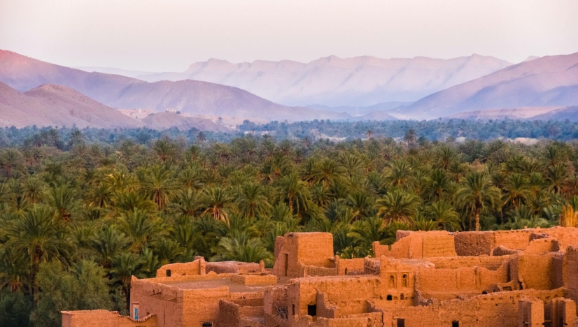 The Voice of the Rural Alessandra Ciucci