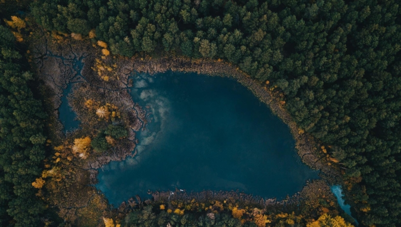 Anna Stavychenko Le Monde