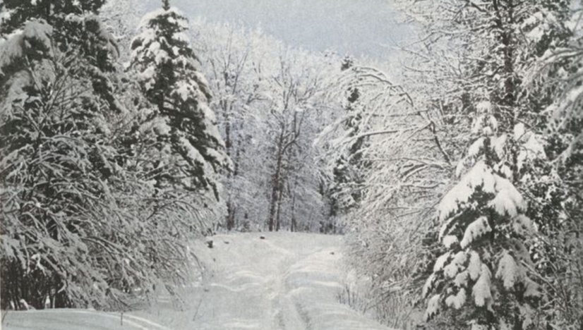 John le Carre Mark Mazower